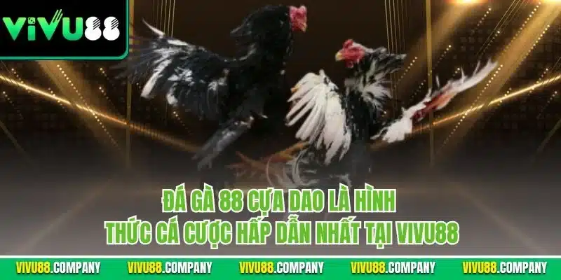 Đá gà 88 cựa dao là hình thức cá cược hấp dẫn nhất tại Vivu88
