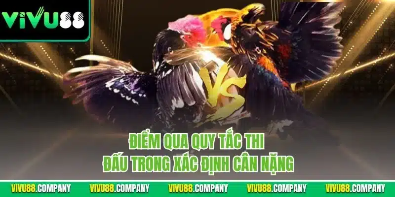 Điểm qua quy tắc thi đấu trong xác định cân nặng